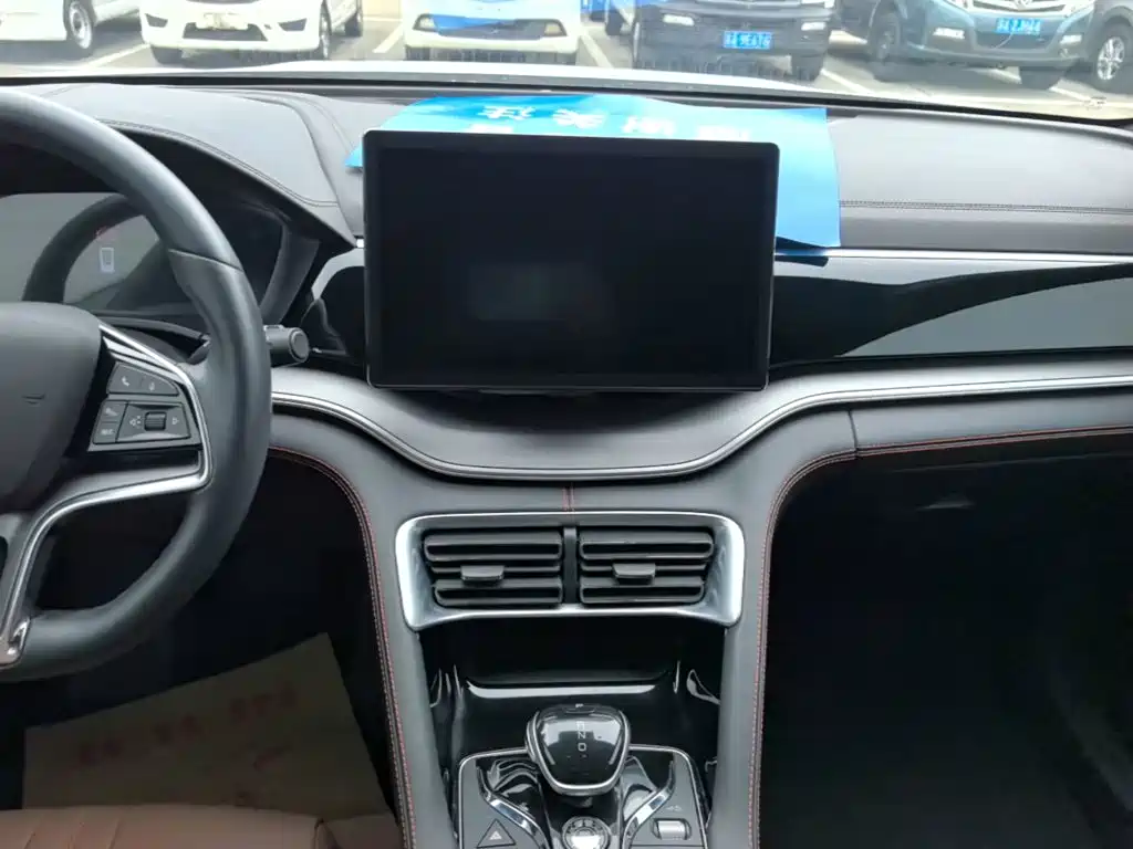BYD PLUS — миниатюра 13