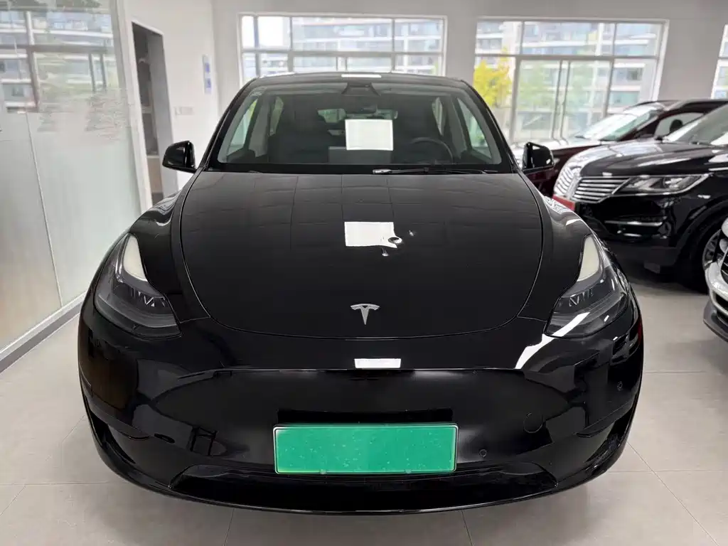 Tesla Model Y — миниатюра 2