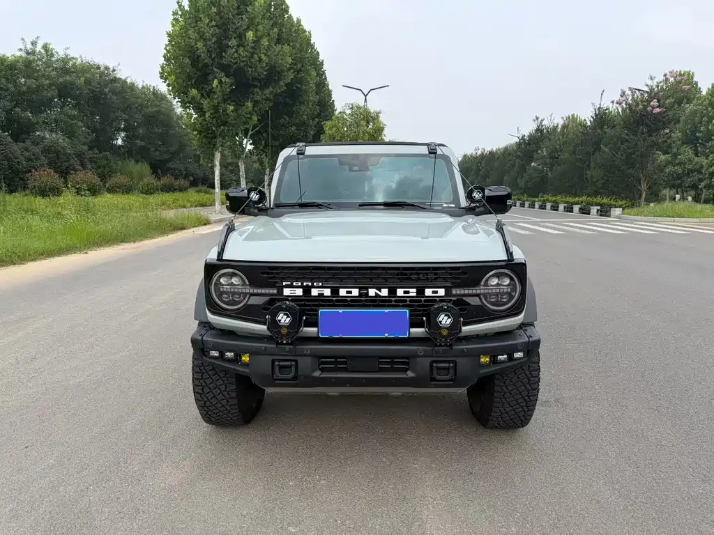 Ford Bronco — миниатюра 2