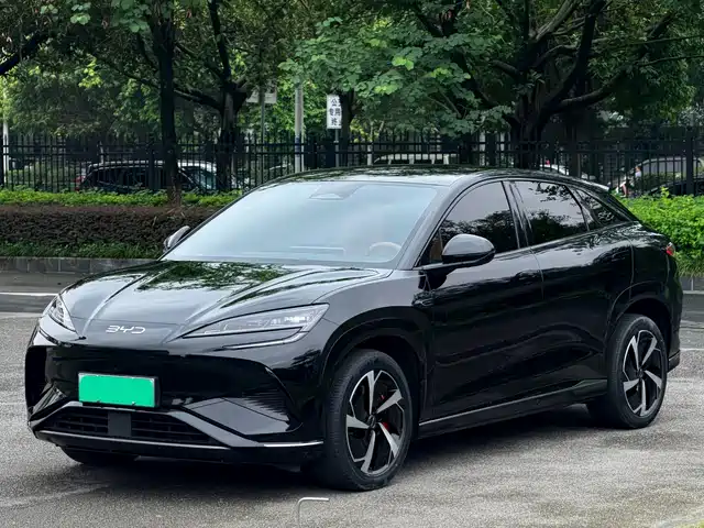 2024 BYD Sea Lion