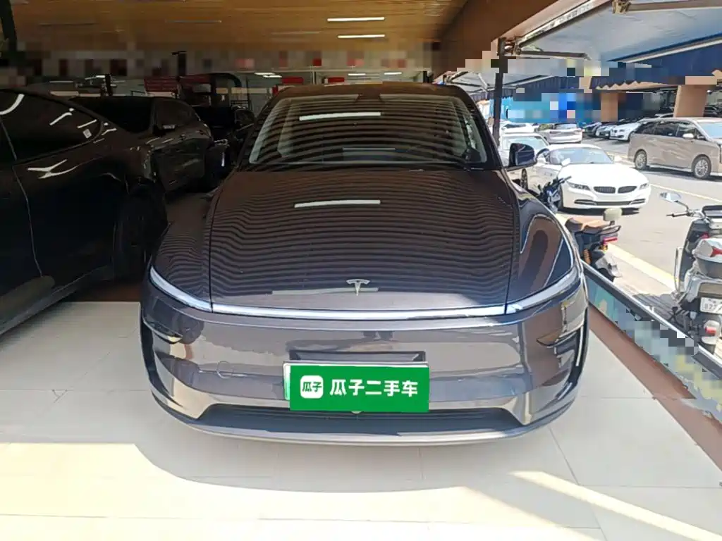 Tesla Model Y — миниатюра 3