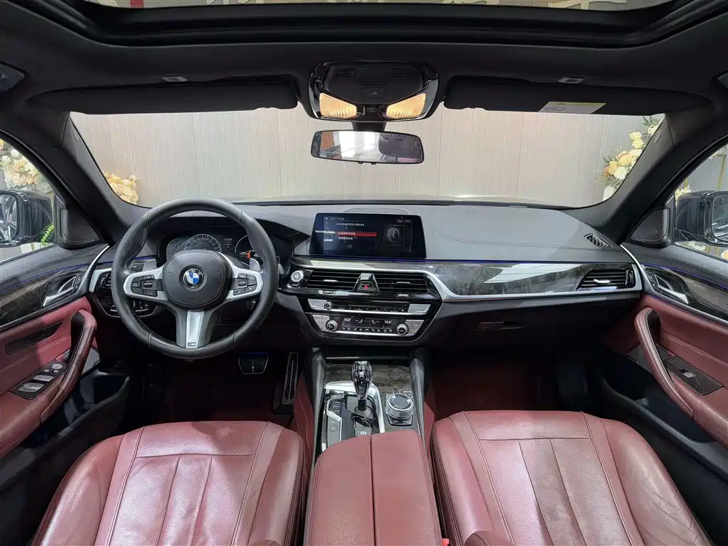 BMW 5 Series 5 2019 530Li Premium M Sport