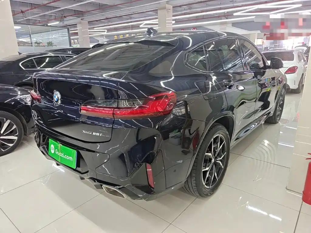 BMW X4 — миниатюра 7