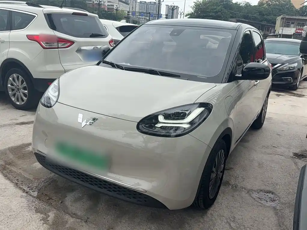 Wuling Binguo