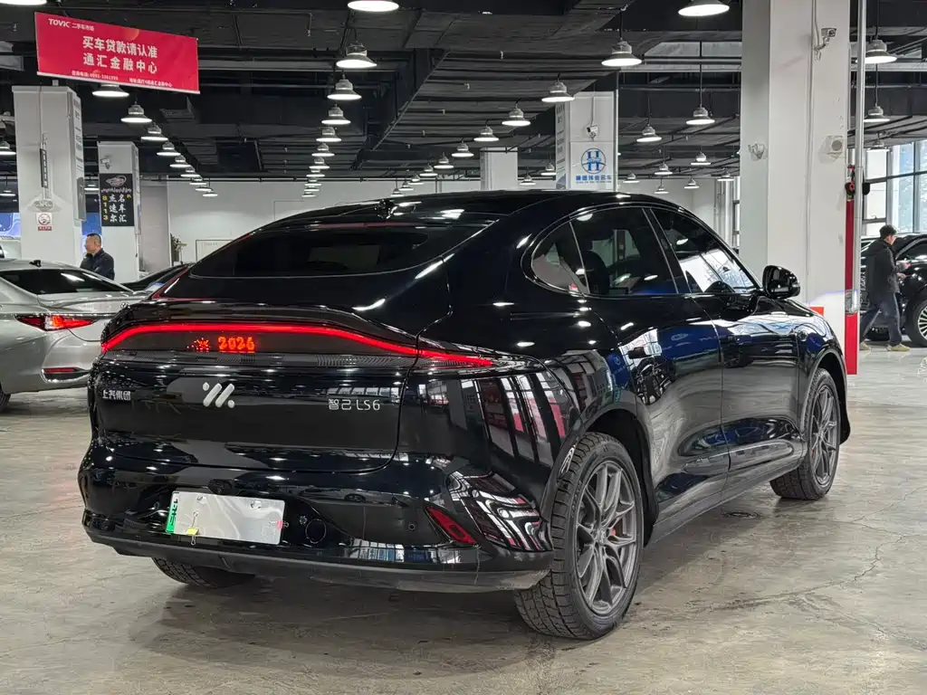 ZHIJI AUTOMOBILE ZHIJI LS6