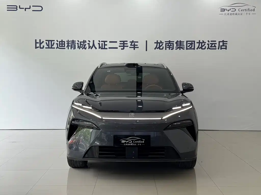 BYD Дон Л. — миниатюра 2