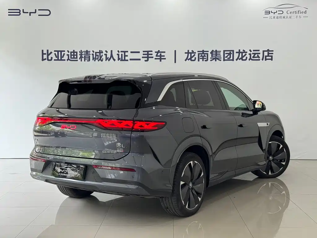 BYD Дон Л. — миниатюра 14