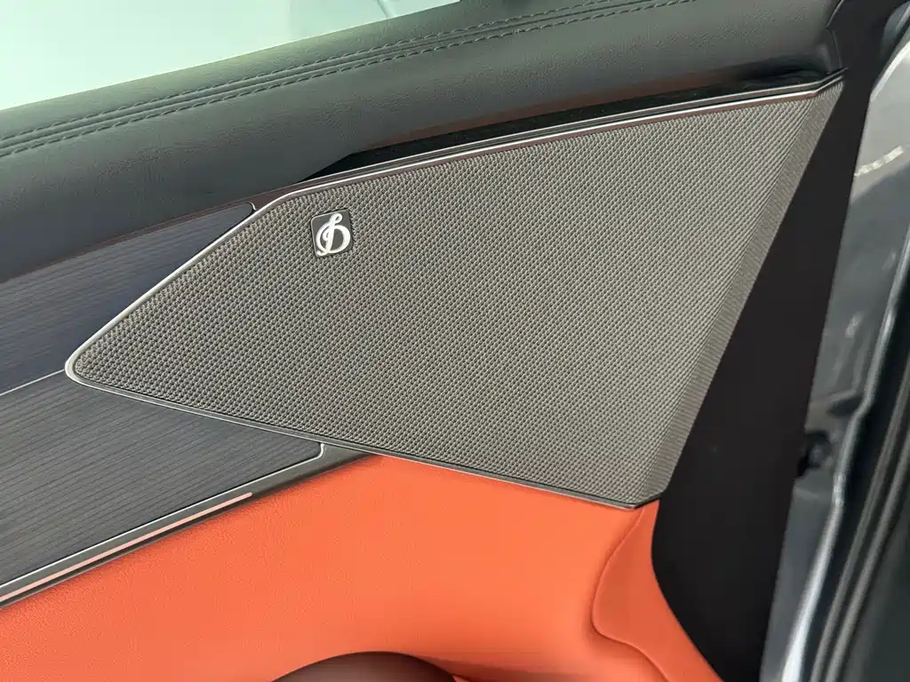 BYD Дон Л. — миниатюра 17