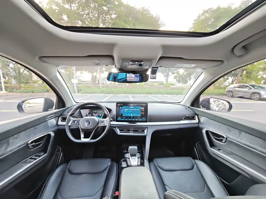 BYD Pro New Energy — миниатюра 6