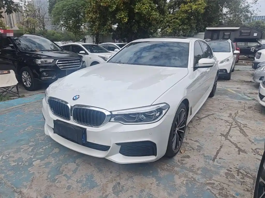 BMW 5 Series 2019