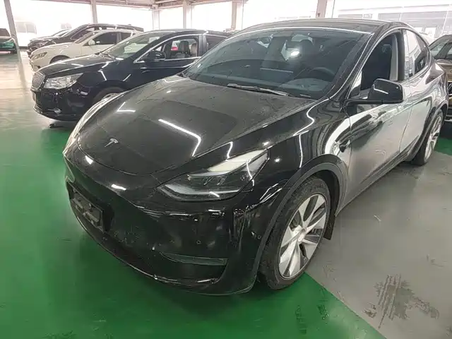 Tesla Model