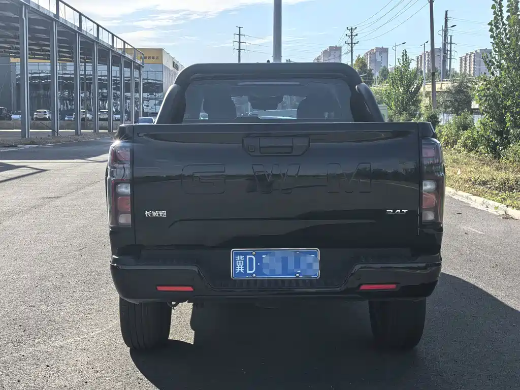 Great Wall Pao — миниатюра 16