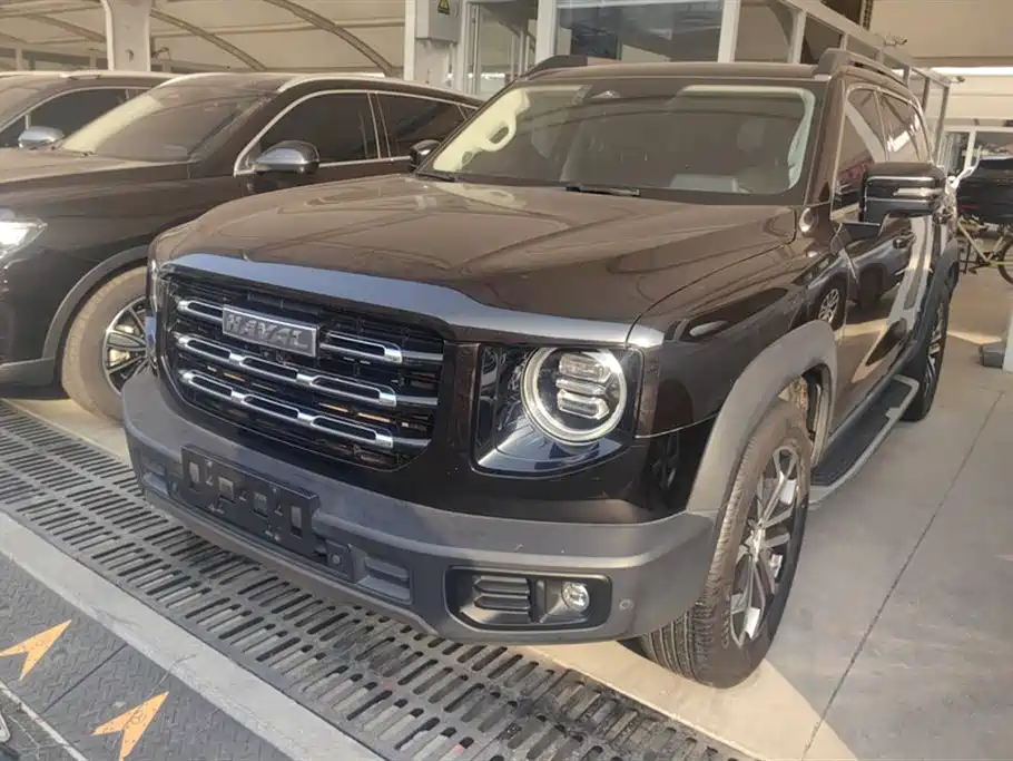 HAVAL BIG DOG