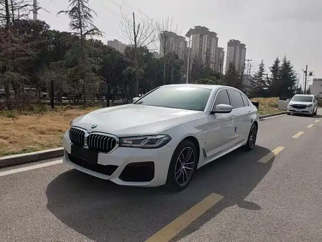 BMW 5 SERIES NEW ENERGY 2020
