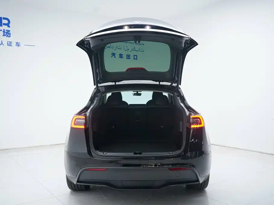 Tesla Model Y — миниатюра 8