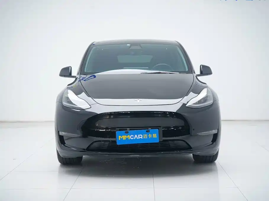 Tesla Model Y — миниатюра 10