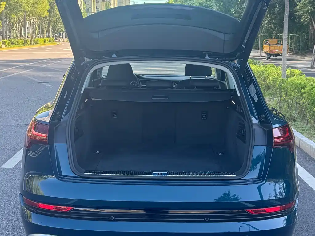 Audi e-tron (Import) — миниатюра 7