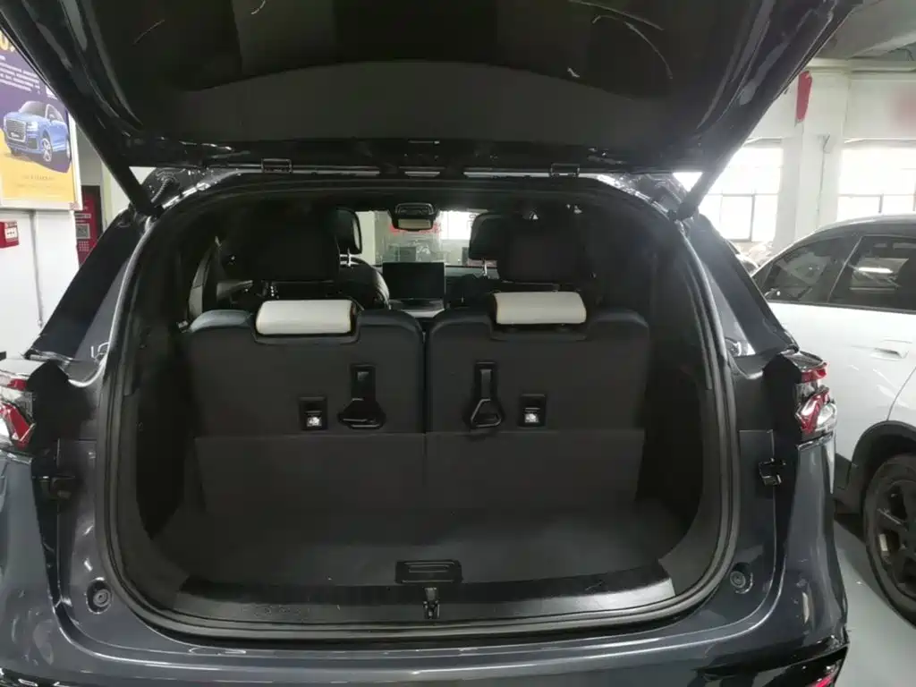 BYD Tang New Energy — миниатюра 19