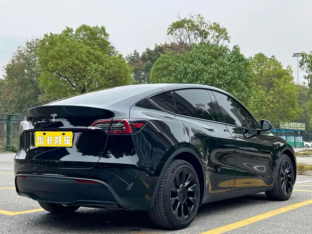 Tesla Model Y — миниатюра 6