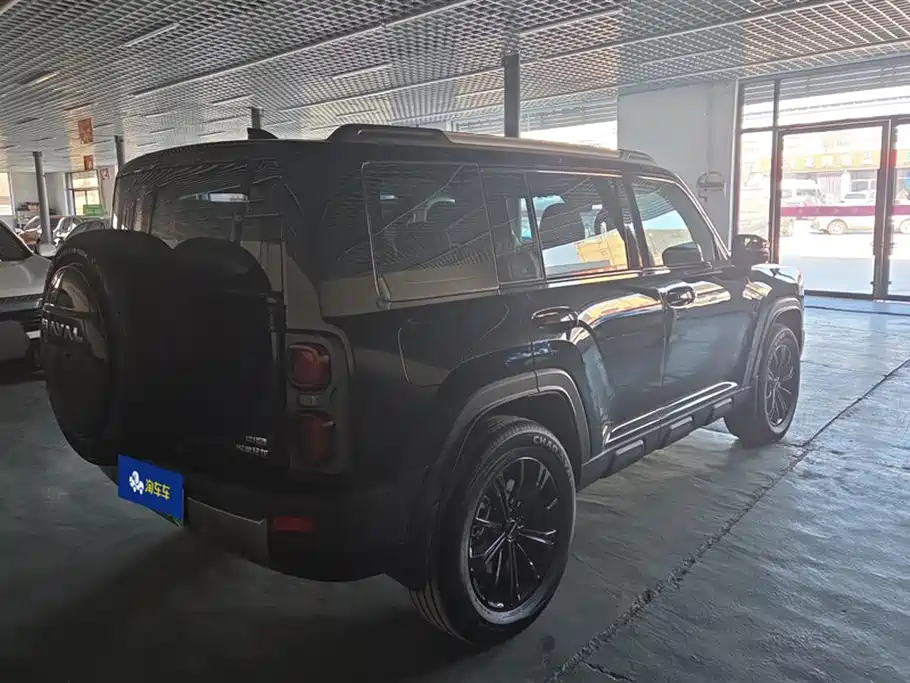 HAVAL RAPTORS NEW ENERGY