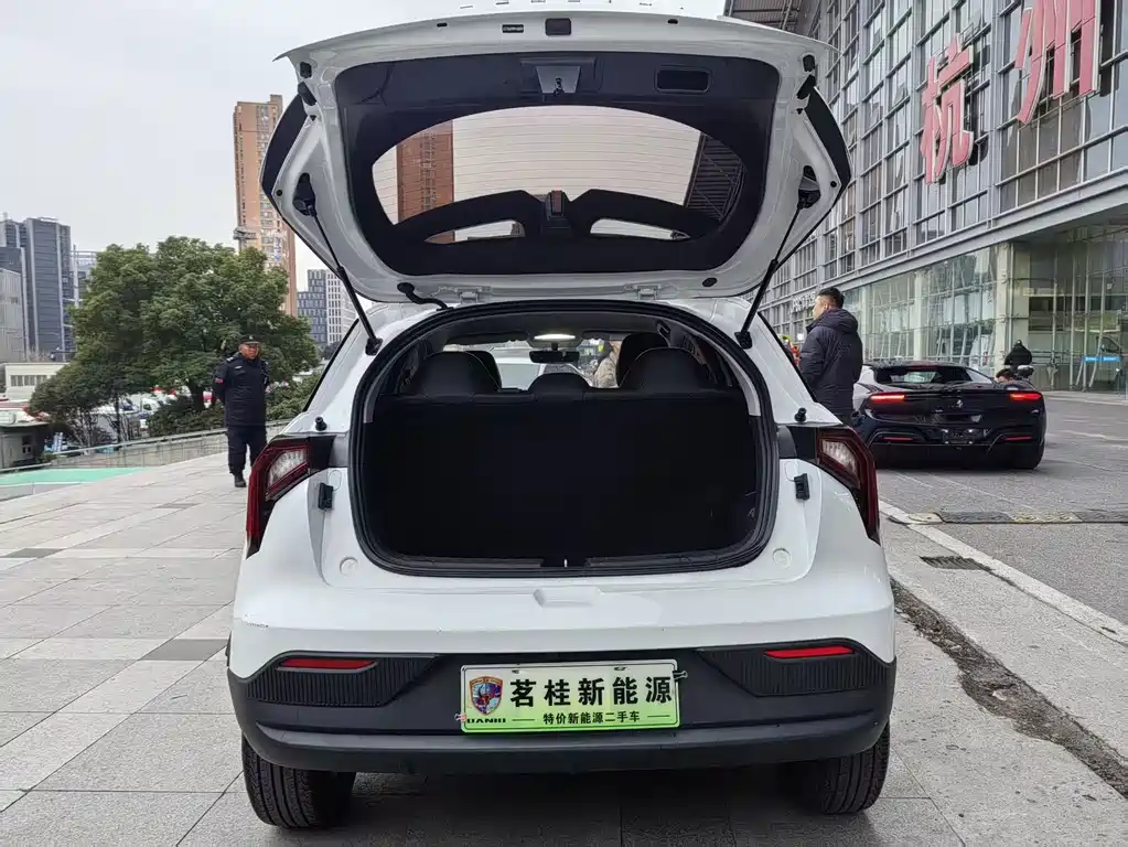 GEELY GEOMETRY E FIREFLY