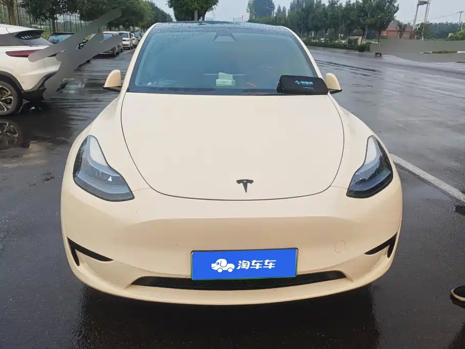 Tesla Model Y — миниатюра 2