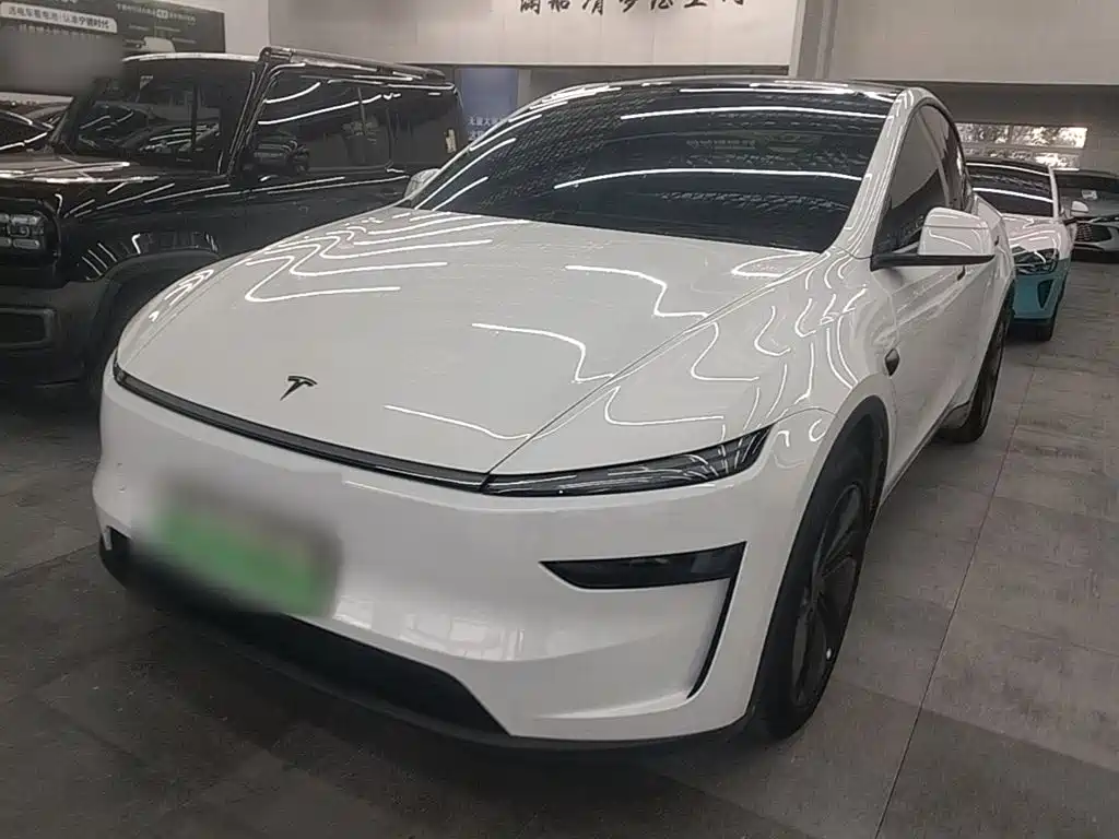 Tesla Model Y — миниатюра 2