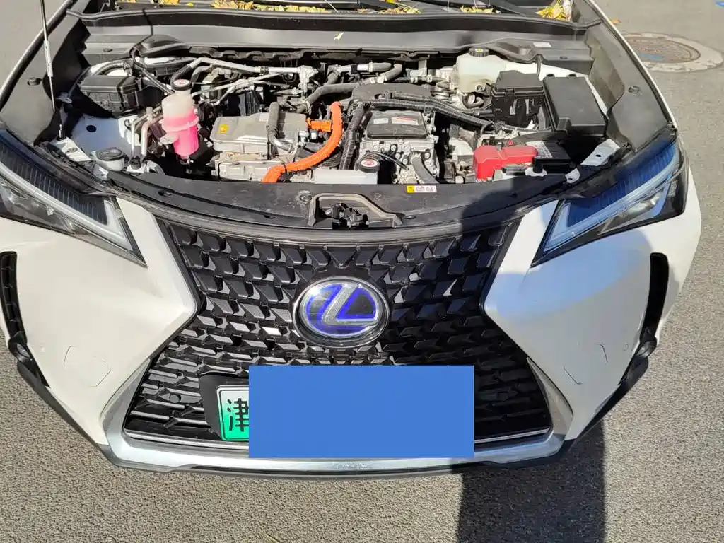 LEXUS UX NEW ENERGY