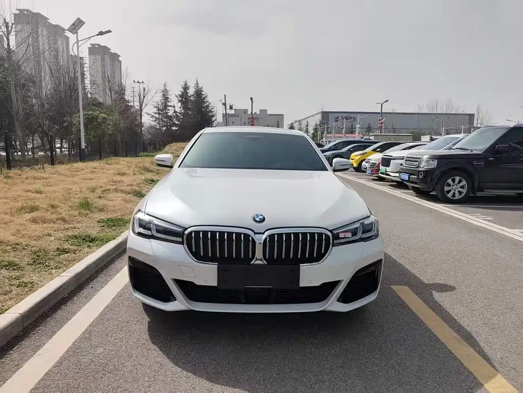 BMW 5 SERIES NEW ENERGY