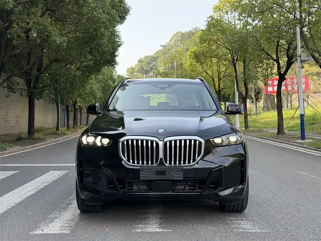 BMW X5 — миниатюра 3