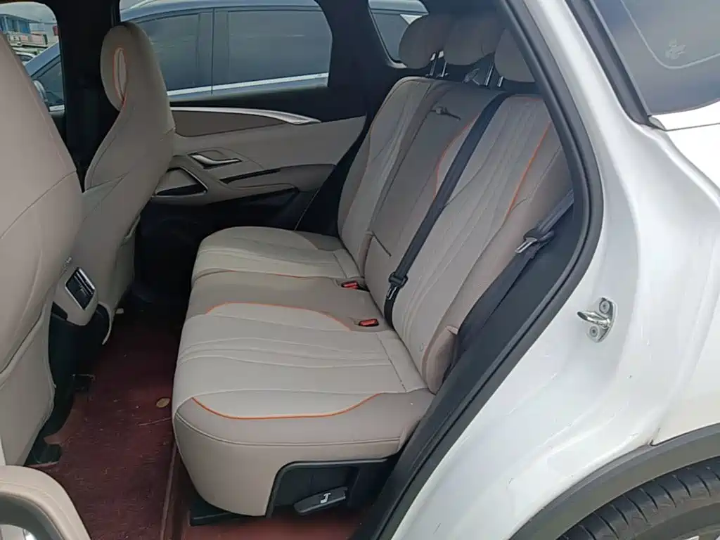 BYD Pro New Energy — миниатюра 17