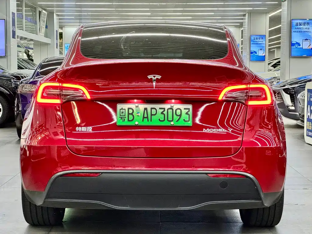 Tesla Model Y — миниатюра 8