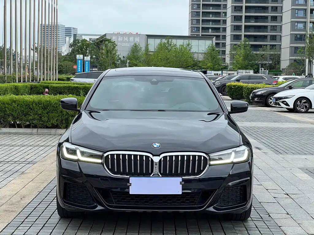 BMW 5 Series — миниатюра 2