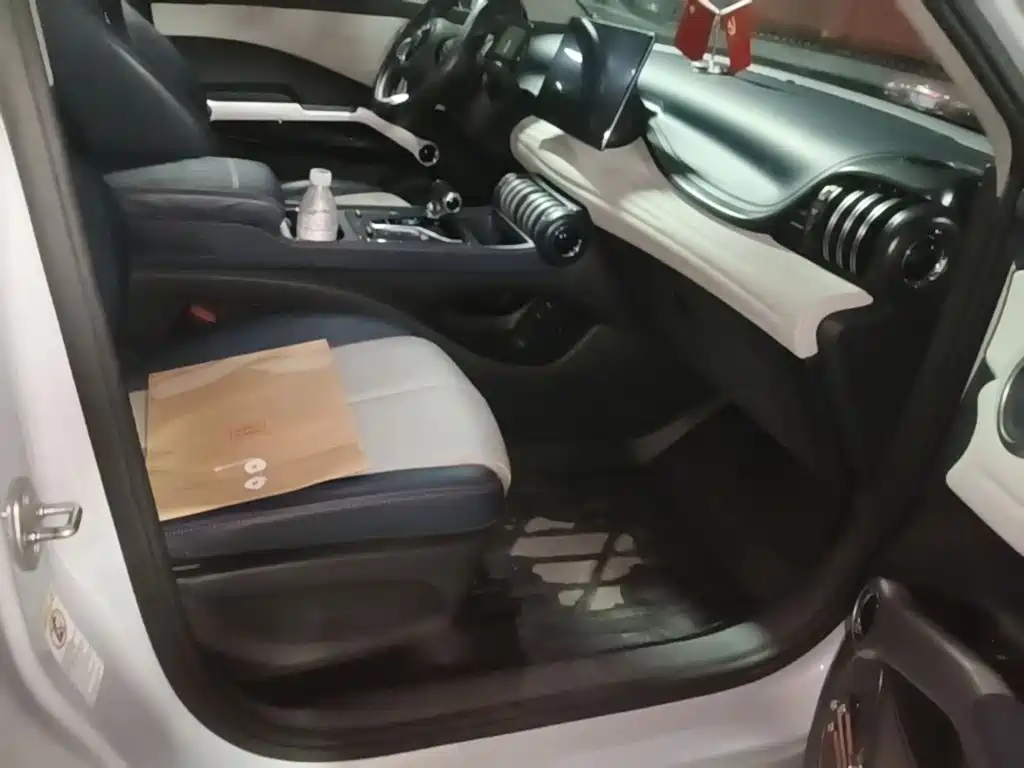 BYD Yuan Plus — миниатюра 25