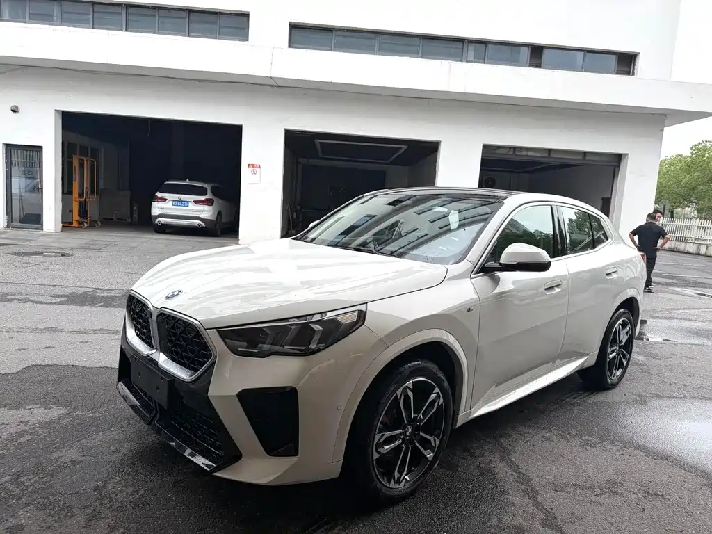 Купить BMW X2 (Import)