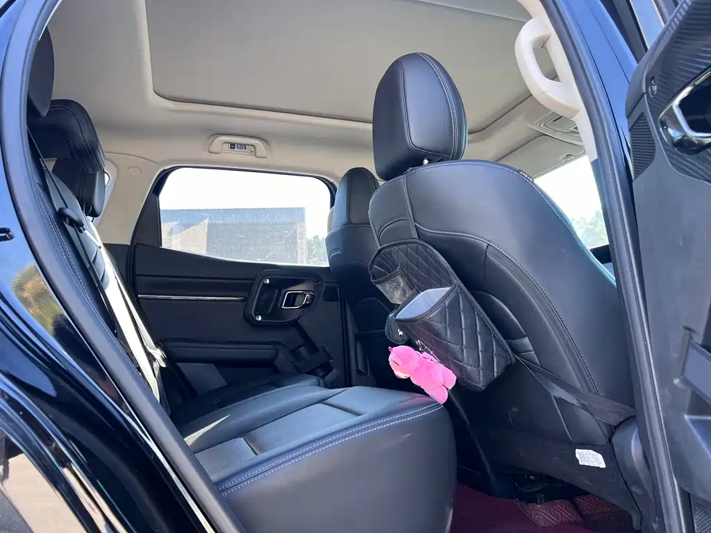 Haval Big Dog PLUS — миниатюра 13