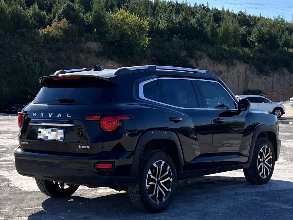 Haval Big Dog PLUS — миниатюра 4