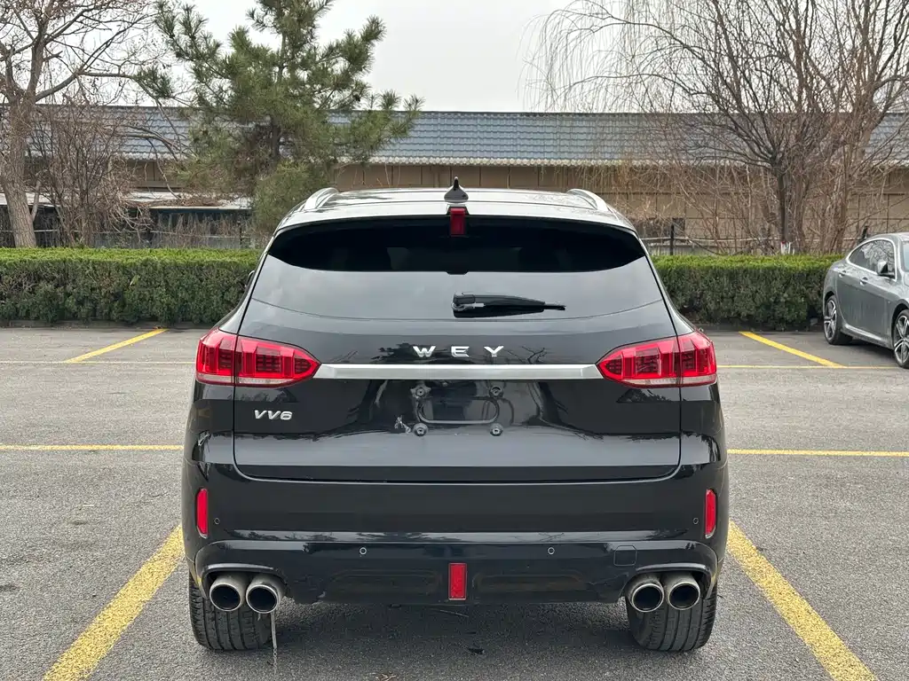 Wey VV6 2.0T 2WD Smart Guard +, фото 5