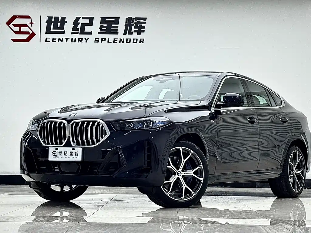 BMW X6 2025
