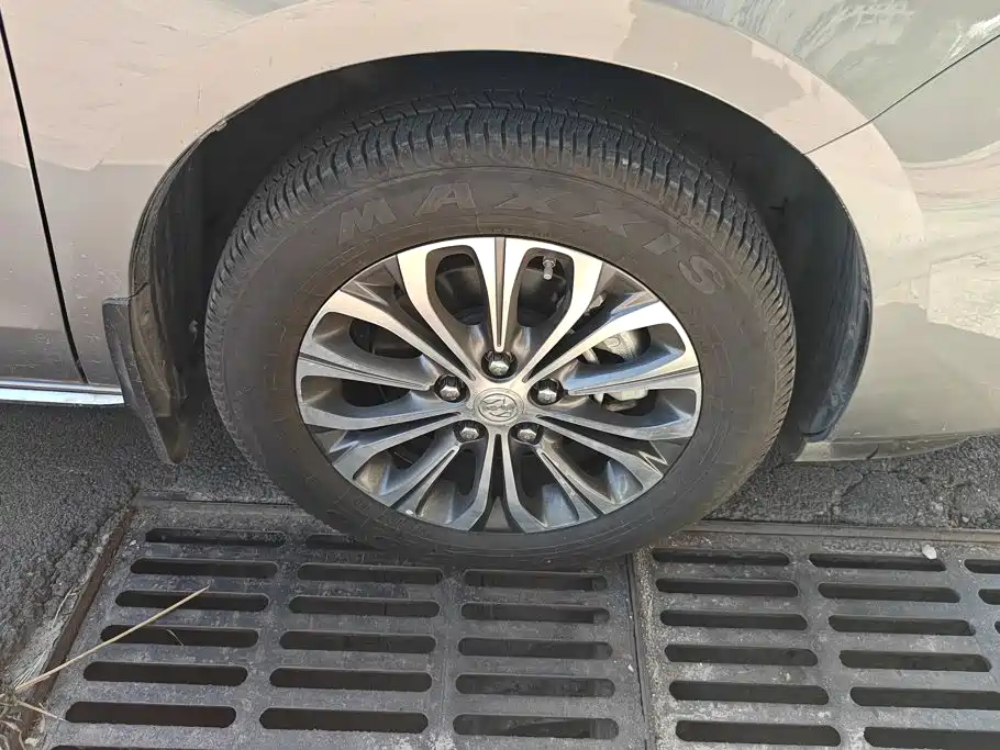 Buick GL8 — миниатюра 6