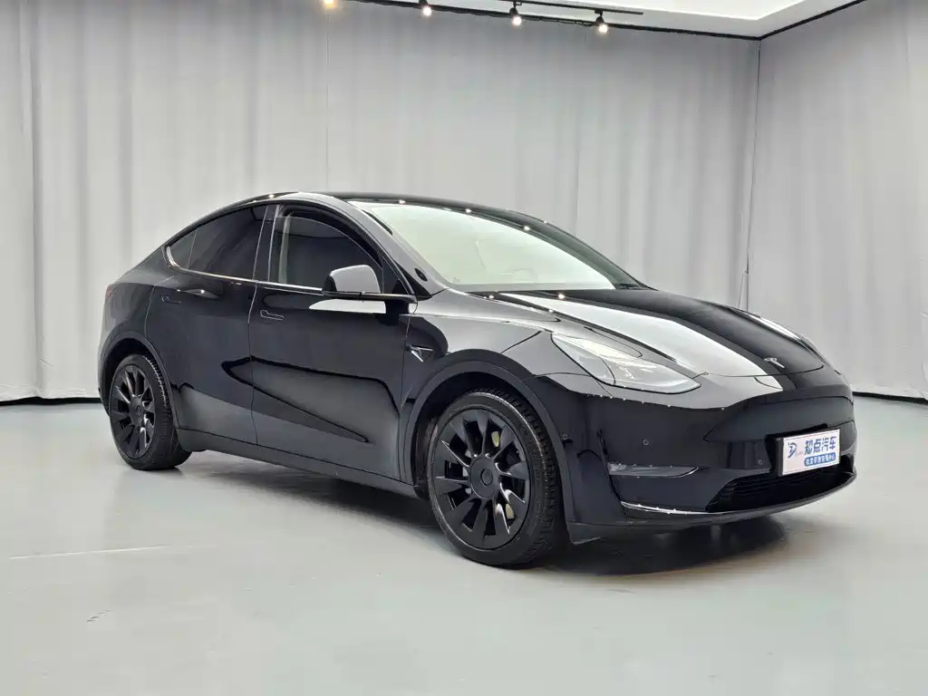 Tesla Model Y — миниатюра 3