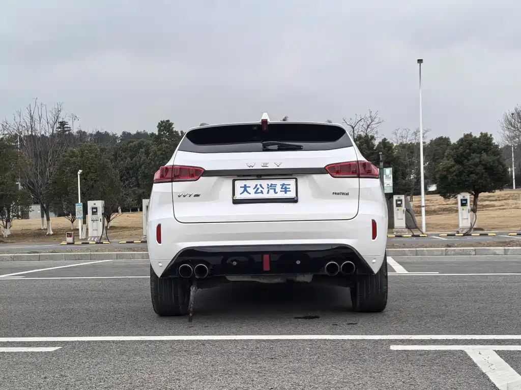 WEI PAI WEI BRAND VV7