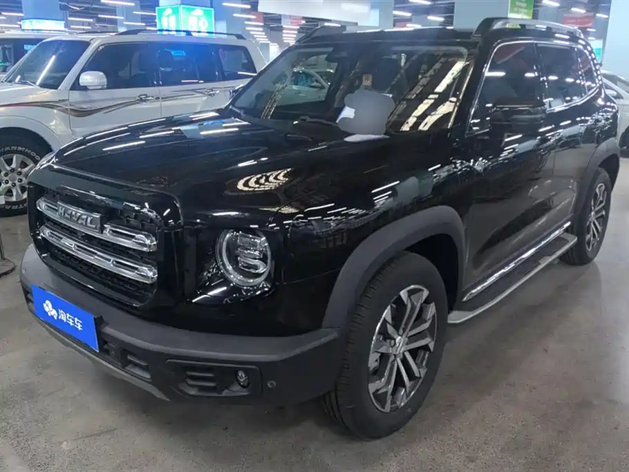 HAVAL BIG DOG