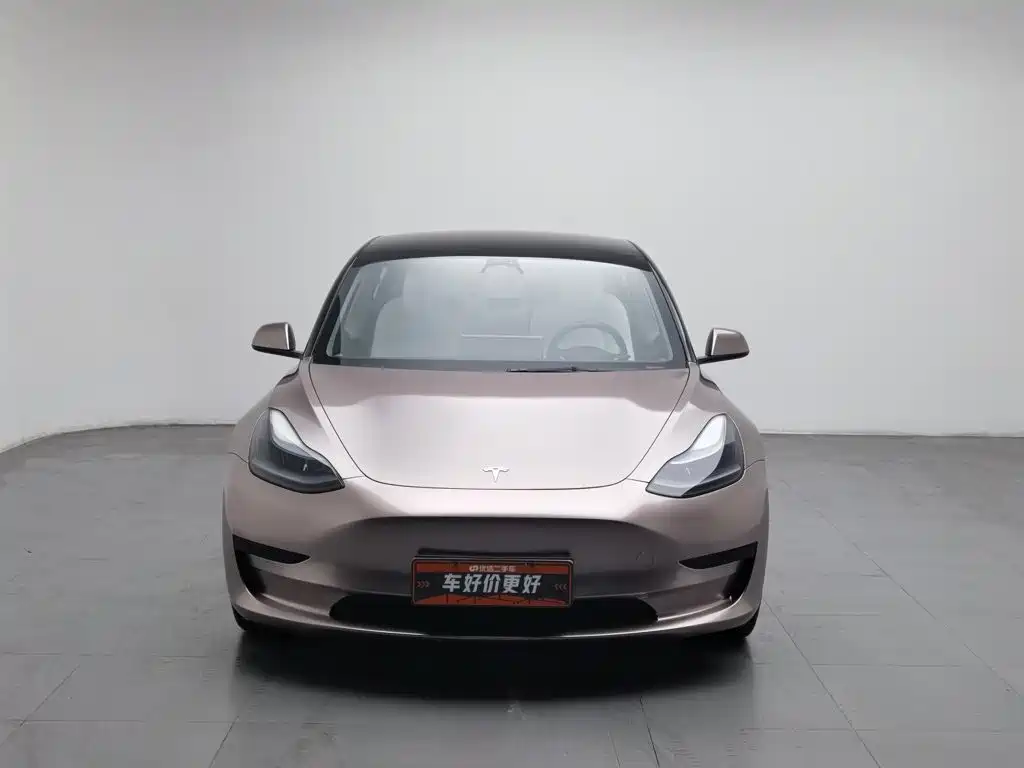 Tesla Model 3 — миниатюра 3