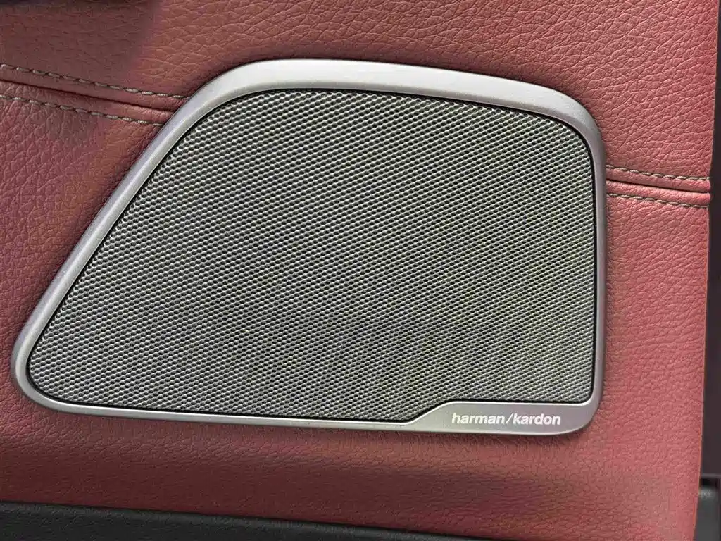 BMW 5 Series 5 2019 530Li Premium M Sport