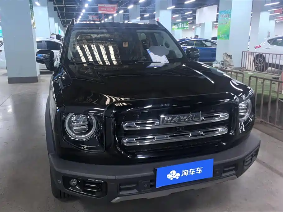 HAVAL BIG DOG