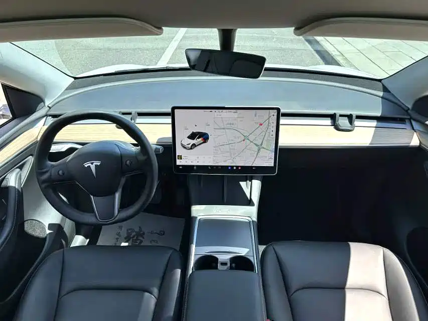 Tesla Model Y — миниатюра 7