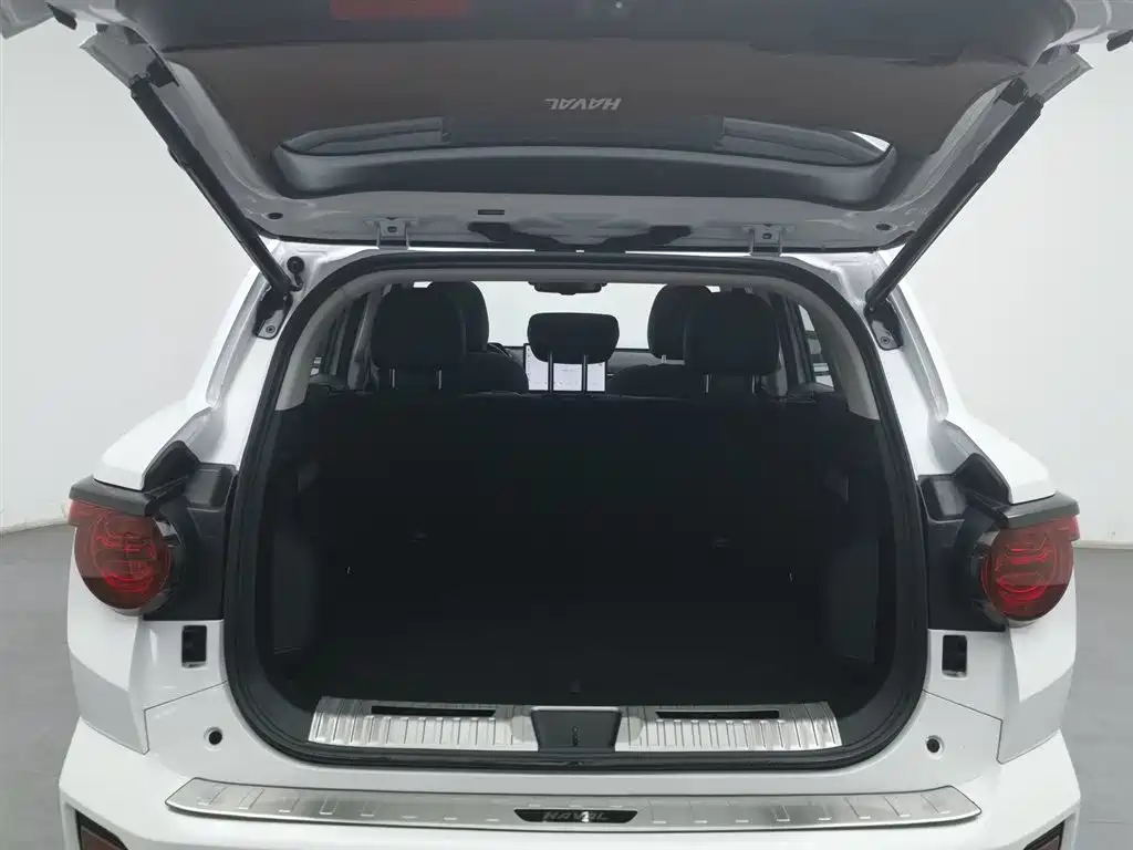 HAVAL SECOND GENERATION BIG DOG NEW ENERGY