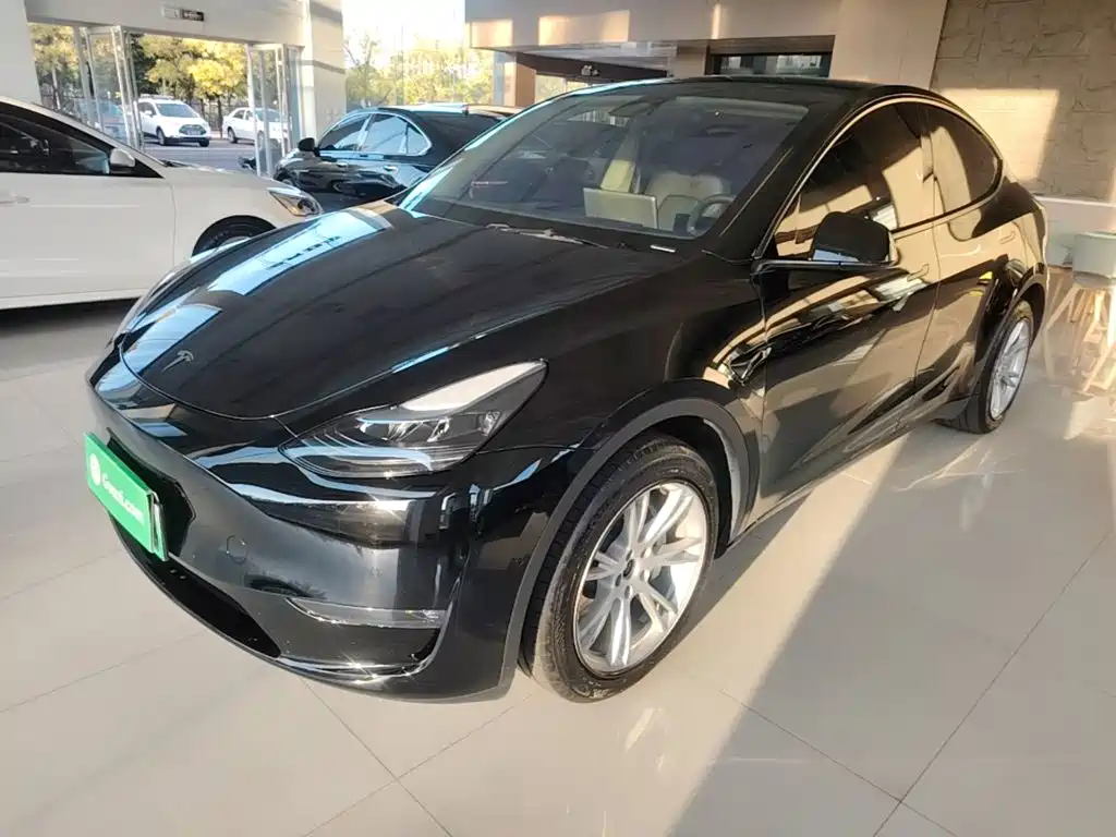 Tesla Model Y — миниатюра 2