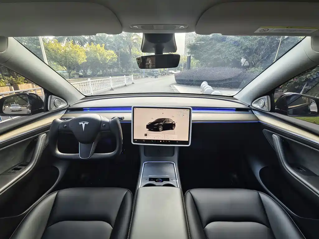 Tesla Model Y — миниатюра 13